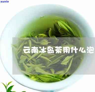 冰岛茶用什么水泡好-冰岛茶用什么水泡好喝