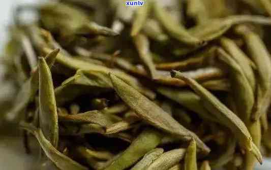 红娘子茶叶：茶类、类型、价格、图片、功效与药用价值全解析