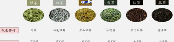 华茶叶是哪里的？、企业及产地介绍，包括华牌茶叶和华茶种类