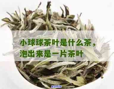 小球球茶叶叫什么茶-小球球茶叶叫什么茶名