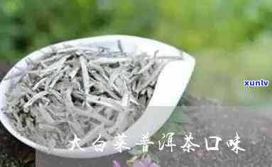 大白菜茶叶是什么茶类，解惑：大白菜茶叶属于哪一类茶？