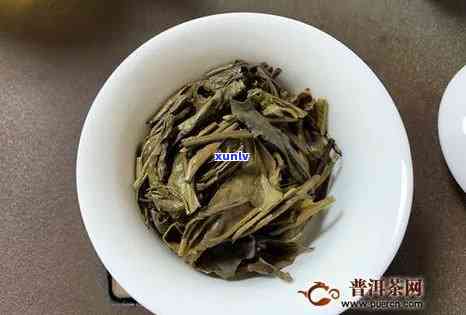 大白菜茶叶是什么茶种？了解其种类、图片与口感！