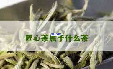 匠心茶属于什么茶，探秘匠心茶：它属于哪种类型的茶？