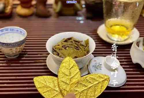 金色的茶叶是什么茶种，探索神秘的金色茶叶：揭秘其所属茶种