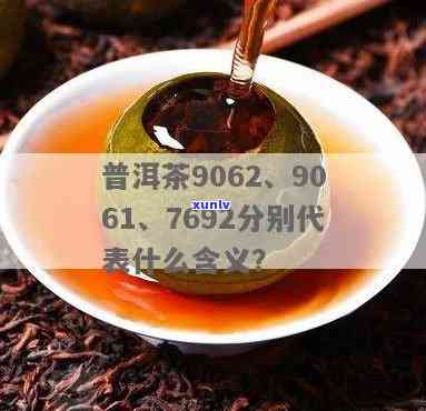 普洱茶901：含义、批号区别及熟茶9016命名解析