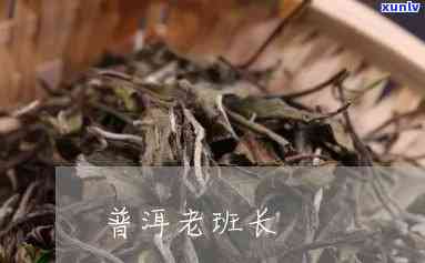 老班长茶叶是什么茶-老班长茶叶怎么样