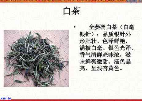 降火的茶叶有什么茶-降火的茶叶有什么茶名