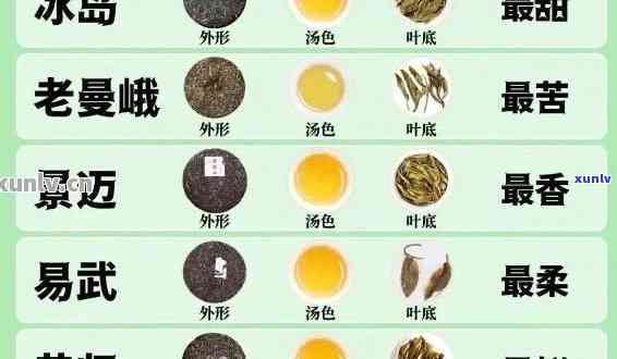 苦味的茶叶种类及特性全解析：包括凉性、绿茶等品种，附图介绍。