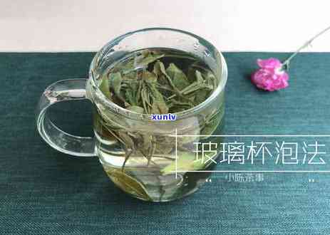 白茶是属于什么茶类，探索茶叶世界：了解白茶的种类归属