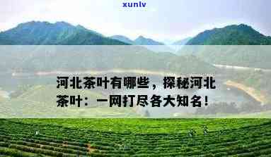 3张信用卡逾期一年后果严重，如何处理？逾期算多次吗？