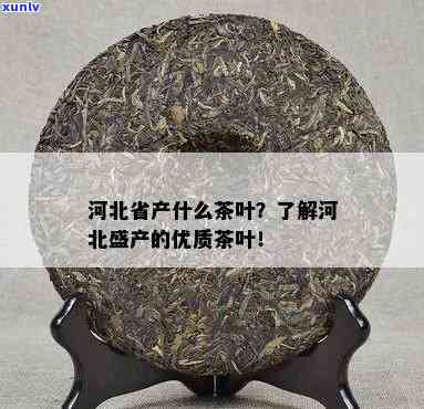 河北产茶吗，探讨河北省的茶叶产业：是否具备产茶条件？