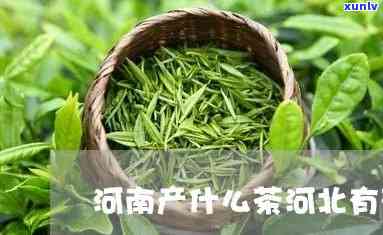 河北产茶吗，探讨河北省的茶叶产业：是否具备产茶条件？