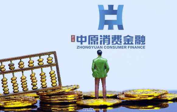 欠了中原消费，警惕高利贷陷阱：揭示中原消费金融的真相