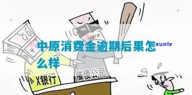 欠了中原消费，警惕高利贷陷阱：揭示中原消费金融的真相