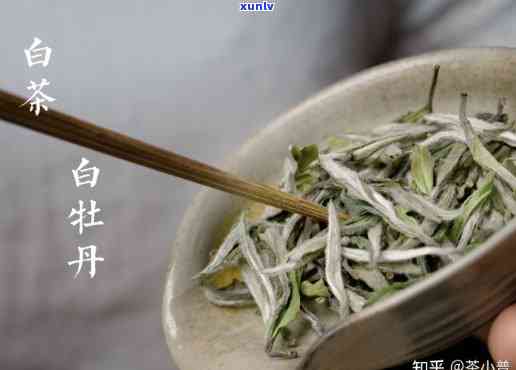 白牡丹白茶是什么茶，「白牡丹白茶」是什么茶？深入了解中国茶文化的瑰宝