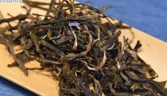 三彩眉茶是普洱茶吗？了解其名称由来、价格及古法老茶的价值