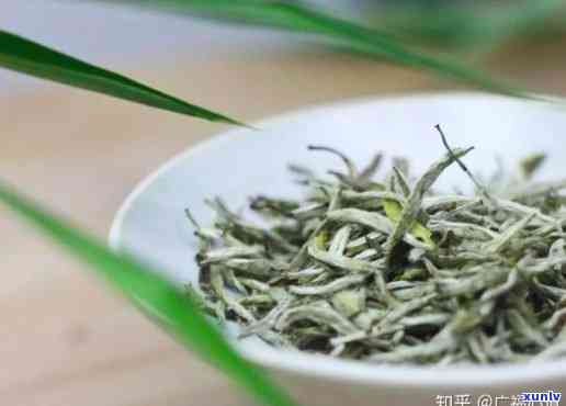 大白毫茶叶是什么茶类，探秘大白毫茶叶：它属于哪种茶类？