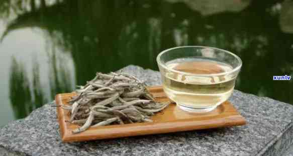 大白毫茶叶是什么茶-大白毫茶叶是什么茶类