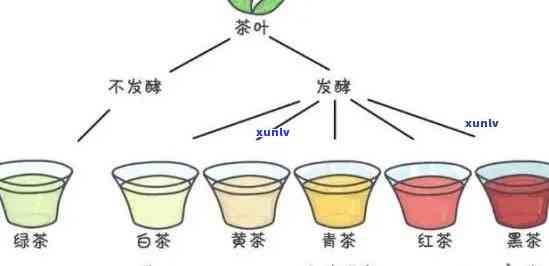 什么茶叶是半发酵茶类，揭示半发酵茶的神秘面纱：揭秘哪些茶叶属于此类别？