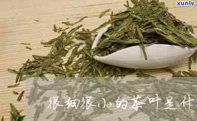 最小的茶叶是什么茶-最小的茶叶是什么茶叶