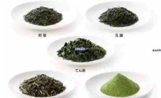 最小的茶叶是什么茶-最小的茶叶是什么茶叶