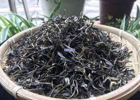 大把抓茶叶是什么茶-大把抓茶叶属于什么茶