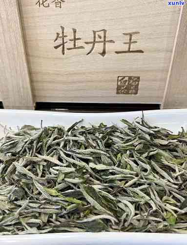 牡丹王茶叶是什么茶-牡丹王茶叶是什么茶叶