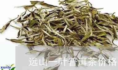 远山眉茶叶是什么茶-远山眉茶叶多少钱一斤