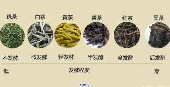 哪种茶叶为全发酵茶？绿茶、红茶、黑茶等是否属于全发酵茶？