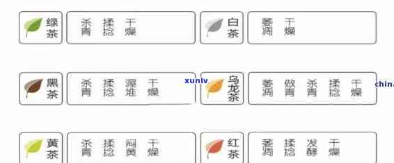 怎么看茶叶是什么茶做的，解密茶叶：如何识别不同类型的茶叶？
