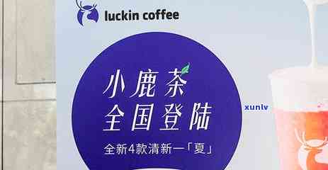 红宝石茶叶是什么茶种，解密红宝石茶叶：它属于哪种茶种？