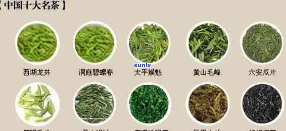 大器茶叶属于什么茶叶，探秘大器茶叶：它属于哪一类别的茶叶？