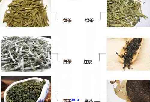 什么茶叶主要是散茶叶，散茶叶：主要的茶叶种类是什么？