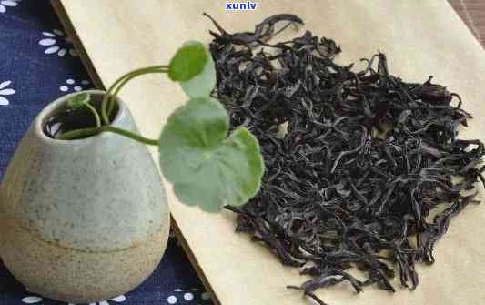 鸡屎香茶叶是什么茶-鸭屎香是红茶还是绿茶