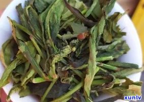 鸭舌茶叶属于什么茶-鸭舌茶叶属于什么茶类