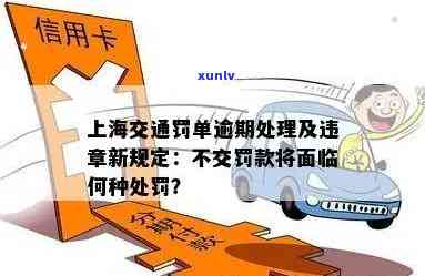 上海违法拒交罚金逾期-上海违法拒交罚金逾期怎么处罚