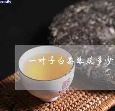 一叶子茶叶是什么茶-一叶子茶叶多少钱一斤