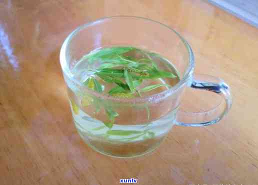 跟柳叶一样的茶，品鉴清新雅致的‘柳叶茶’，感受自然之美