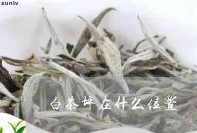 白岩山茶叶是什么茶-白岩山茶叶是什么茶类