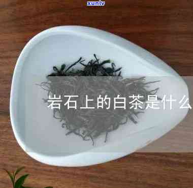 白岩山茶叶是什么茶-白岩山茶叶是什么茶类