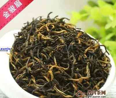 金玉茶叶：什么茶种？功效如何？是红茶吗？看图了解！