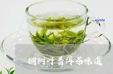 桐茶叶属于什么茶-桐茶叶属于什么茶类