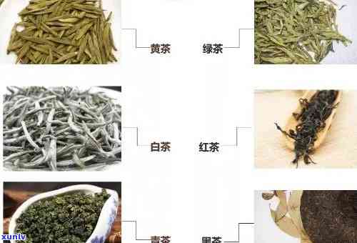 自然茶属于什么茶类？了解自然茶的基本信息和价格