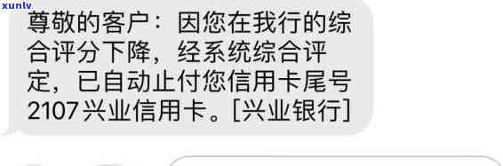 翡翠手串把玩的艺术与鉴赏：从材质、纹理到佩戴技巧全方位解析