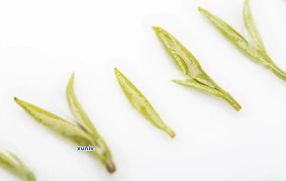 细长的茶叶是什么茶甜，探索细长茶叶的秘密：什么茶又甜又美味？