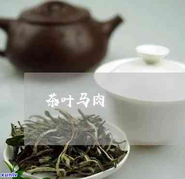 马肉茶叶属于什么茶养胃吗，探讨马肉茶叶的养胃功效：它属于哪种茶类？