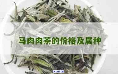 马肉茶叶属于什么茶-马肉茶叶属于什么茶类