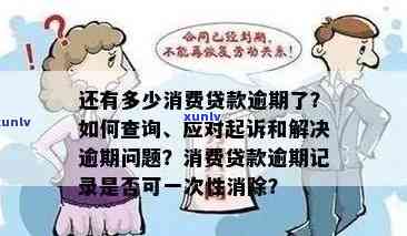 个人消费贷款逾期罚息疑问，探究个人消费贷款逾期罚息疑问的成因与解决方案