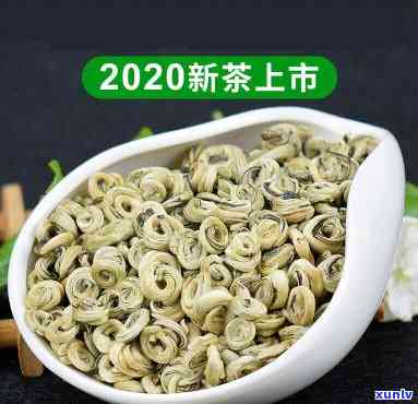 白香螺茶叶是什么茶-白香螺茶叶是什么茶类