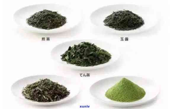 立着的茶叶叫什么茶名，茶叶新知识：立着的茶叶应该叫什么名字？